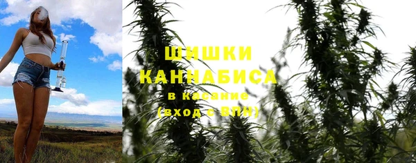 прущие крисы Нефтекумск